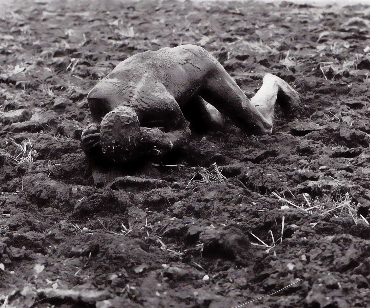 Reclining figure in a field