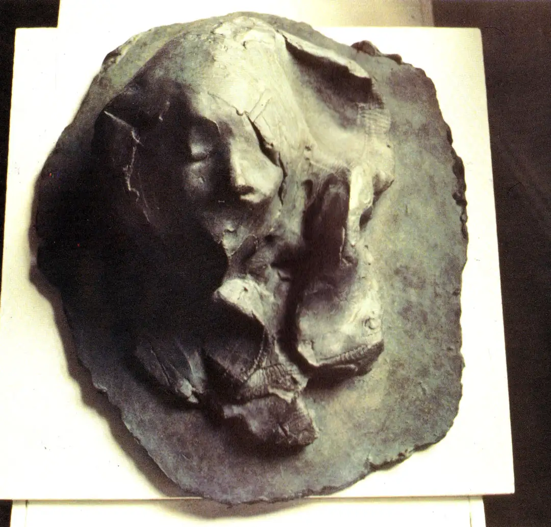 A figurative relief in bronze