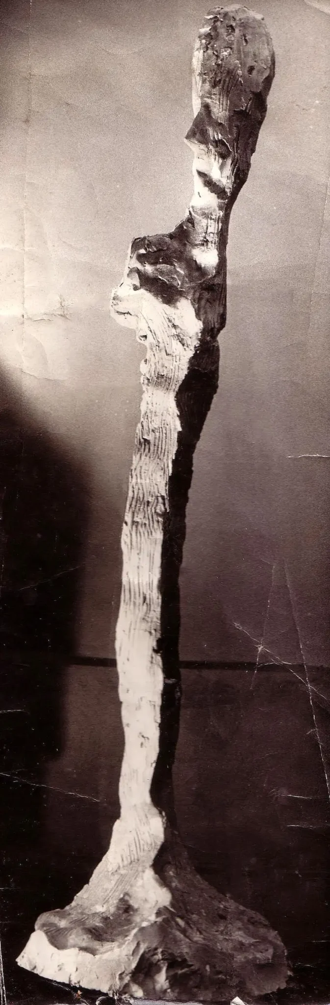 Figurative sculpture shot in black and white